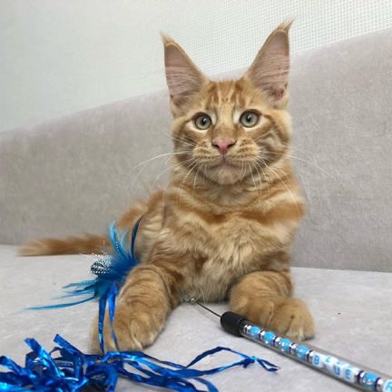 Вальтер