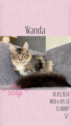 Wanda