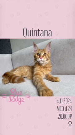 Quintana
