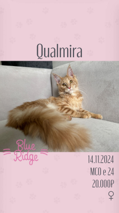 Qualmira