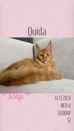 Quida