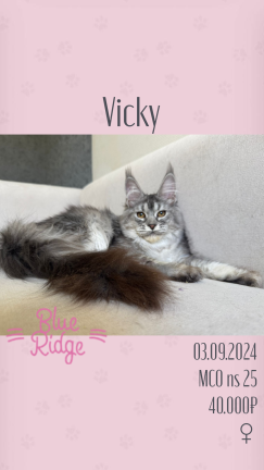 Vicky