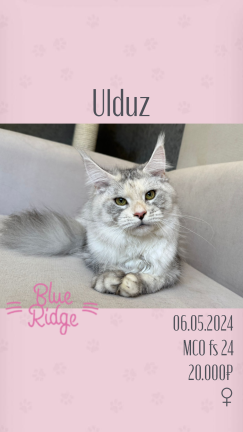 Ulduz