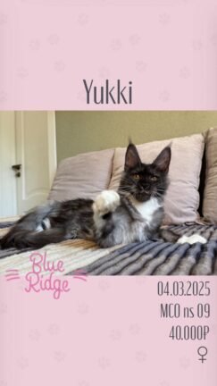 Yukki