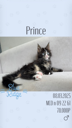 Prince