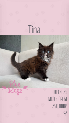 Tina