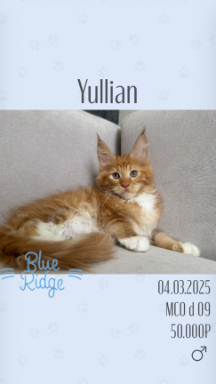 Yullian