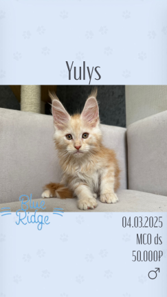 Yulys
