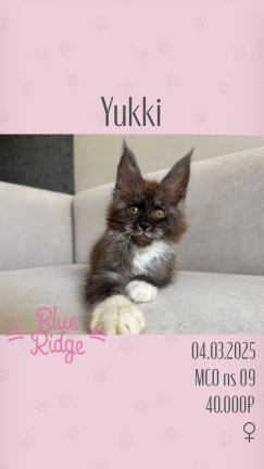 Yukki