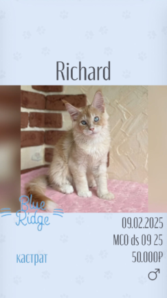 Richard