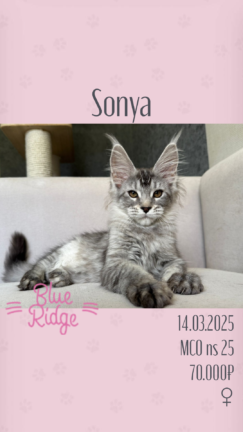 Silver Sonya
