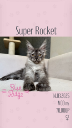 Super Rocket