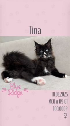 Tina