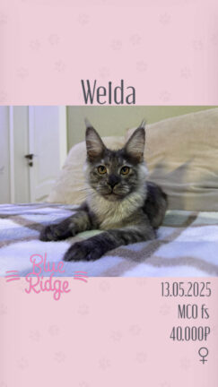 Welda