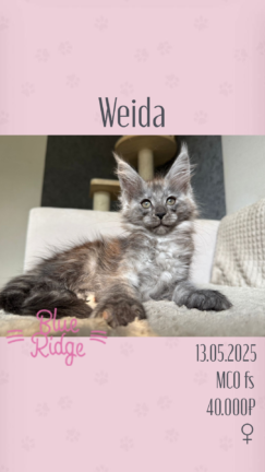 Weida