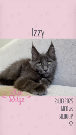 Izzy
