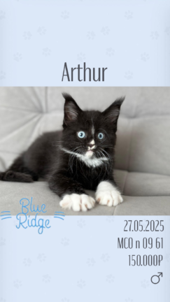 Arthur