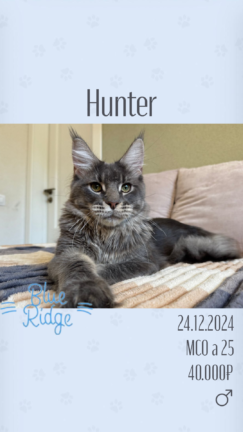 Hunter