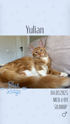 Yullian