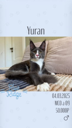 Yuran