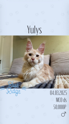 Yulys