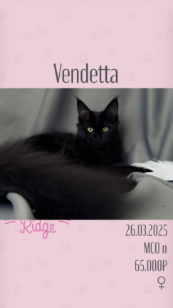 Vendetta