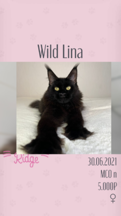 Wild Lina