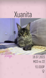 Xuanita