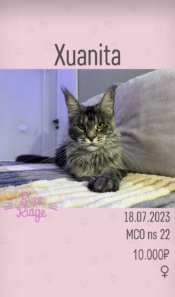 Xuanita