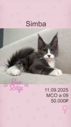 Simba