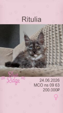 Ritulia