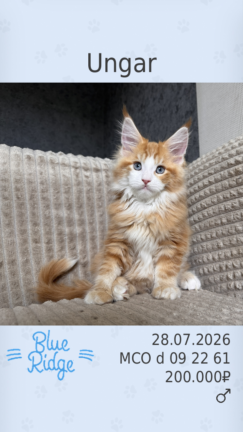 Ungar