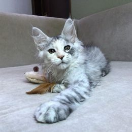 Живанши